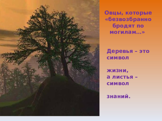 Овцы, которые «безвозбранно бродят по могилам…» Деревья – это символ  жизни, а листья – символ  знаний. 