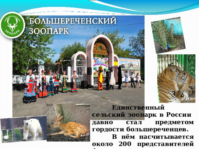  Единственный сельский зоопарк в России давно стал предметом гордости большереченцев.  В нём насчитывается около 200 представителей фауны 