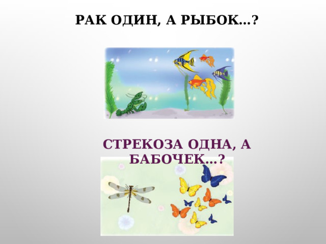 Рак один, а рыбок…? Стрекоза одна, а бабочек…? 