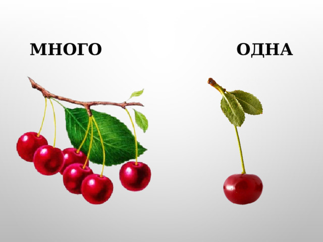 Презентация "Один - много"