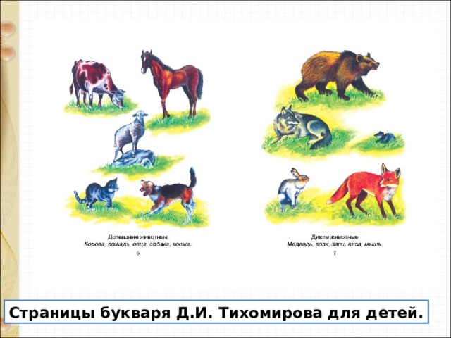 Страницы букваря Д.И. Тихомирова для детей. 