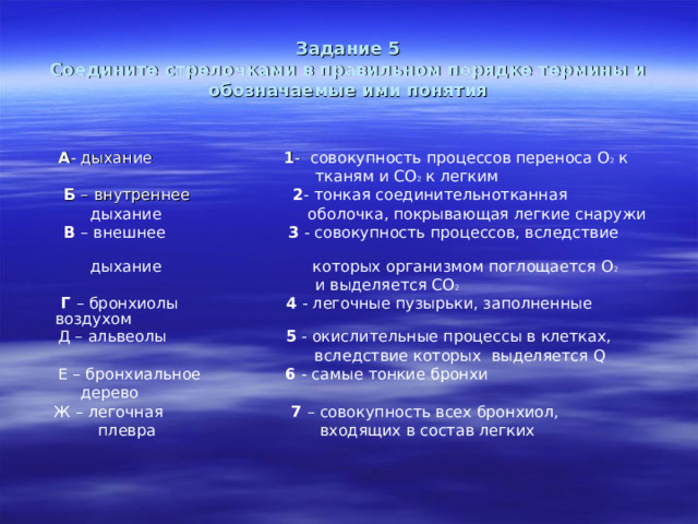 Задание 5  Соедините стрелочками в правильном порядке термины и обозначаемые ими понятия   А - дыхание 1 - совокупность процессов переноса О 2 к  тканям и СО 2 к легким  Б –  внутреннее 2 - тонкая соединительнотканная  дыхание оболочка, покрывающая легкие снаружи  В – внешнее 3 - совокупность процессов, вследствие  дыхание которых организмом поглощается О 2   и выделяется СО 2   Г – бронхиолы 4 - легочные пузырьки, заполненные воздухом  Д – альвеолы  5 - окислительные процессы в клетках,   вследствие которых выделяется Q  Е – бронхиальное  6 - самые тонкие бронхи   дерево  Ж – легочная  7 – совокупность всех бронхиол,  плевра  входящих в состав легких 