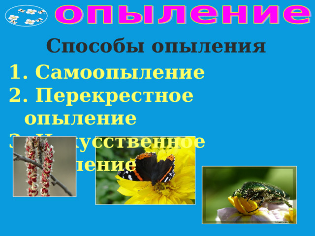 Способы опыления  Самоопыление  Перекрестное опыление 3. Искусственное опыление 
