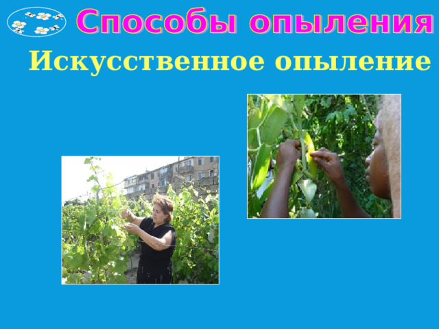 Искусственное опыление 