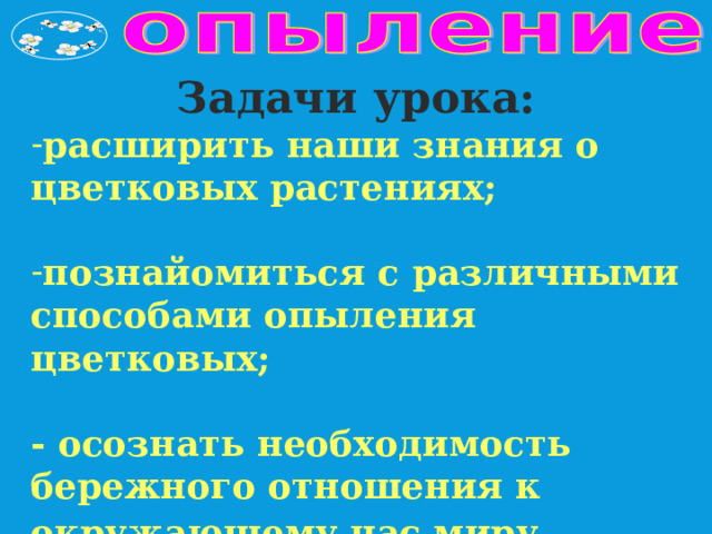 Задачи урока: расширить наши знания о цветковых растениях;  познайомиться с различными способами опыления цветковых;  - осознать необходимость бережного отношения к окружающему нас миру.  