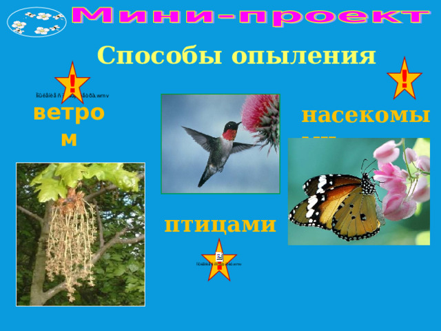 Способы опыления ! ! насекомыми ветром птицами ! 