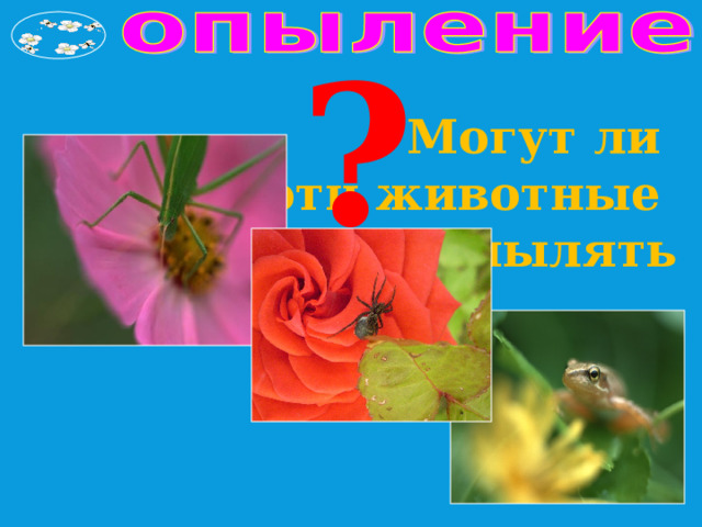 ? Могут ли эти животные опылять 