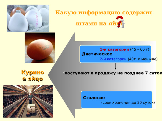 поступают в продажу не позднее 7 суток   Какую информацию содержит  штамп на яйце   1-й категории (45 – 60 г) Диетическое   2-й категории (40г. и меньше)  Куриное  яйцо Столовое   (срок хранения до 30 суток) 