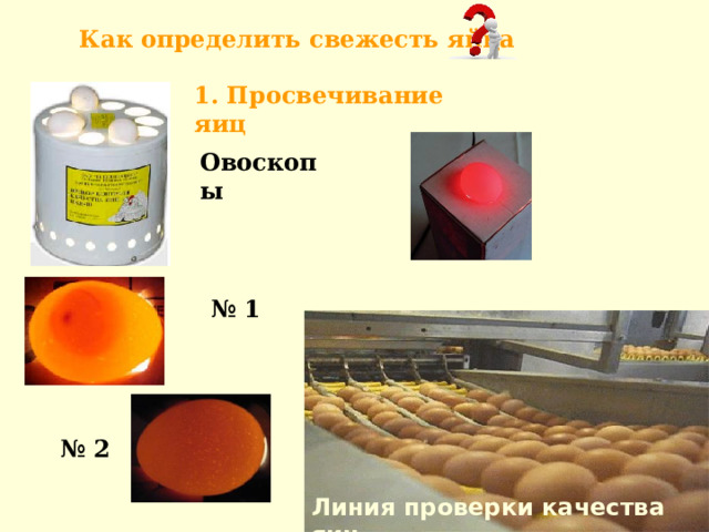 Как определить свежесть яйца  1. Просвечивание яиц Овоскопы № 1 № 2 Линия проверки качества яиц 