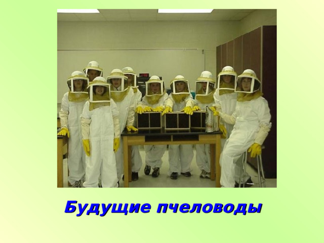 Будущие пчеловоды 