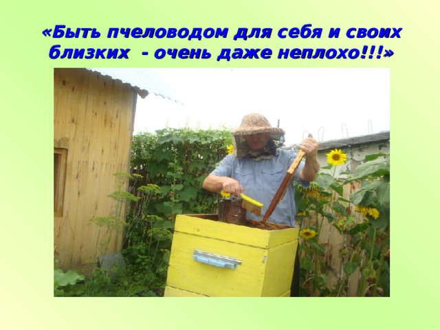 «Быть пчеловодом для себя и своих близких - очень даже неплохо!!!» 