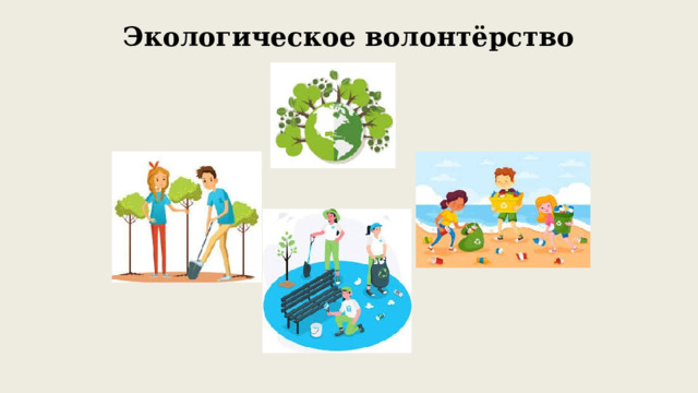Экологическое волонтёрство 