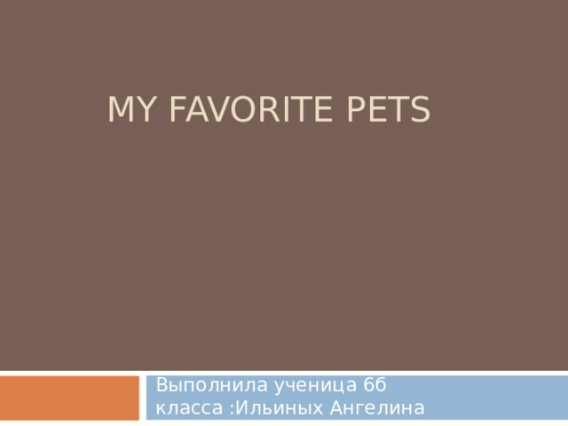 MY FAVORITE PETS Выполнила ученица 6б класса :Ильиных Ангелина 