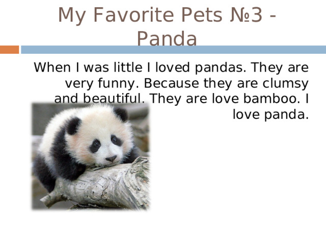 My Favorite Pets №3 - Panda When I was little I loved pandas. They are very funny. Because they are clumsy and beautiful. They are love bamboo. I love panda. 