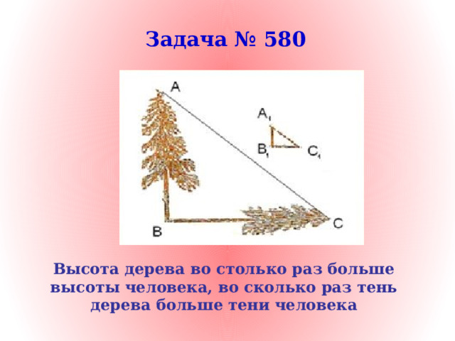 Задача № 580 Высота дерева во столько раз больше высоты человека, во сколько раз тень дерева больше тени человека 