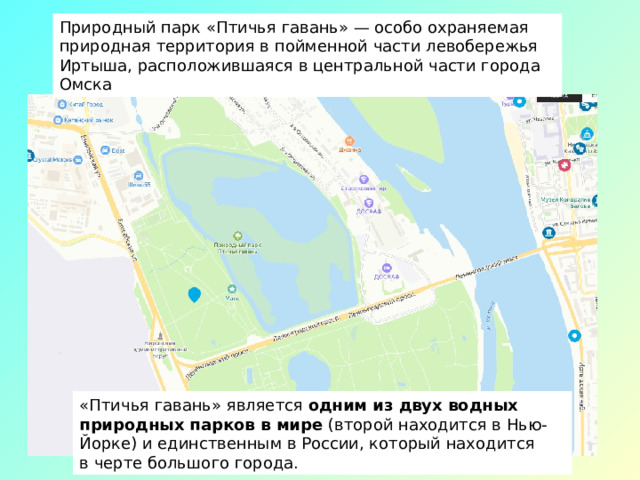 19 февраля  в России отмечается День орнитолога . Именно в этот день, в 1983 году, было организовано Всесоюзное орнитологическое общество при Академии наук СССР. 