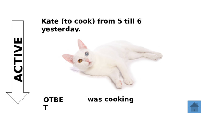 Kate (to cook) from 5 till 6 yesterday. ACTIVE was cooking ОТВЕТ  