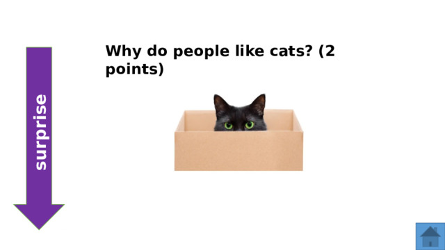 Why do people like cats? (2 points) surprise  