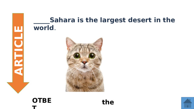 ARTICLE _____Sahara is the largest desert in the world . ОТВЕТ the  