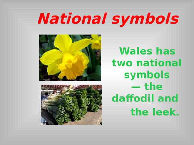  National symbols   Wales has two national symbols — the daffodil and   the leek.  