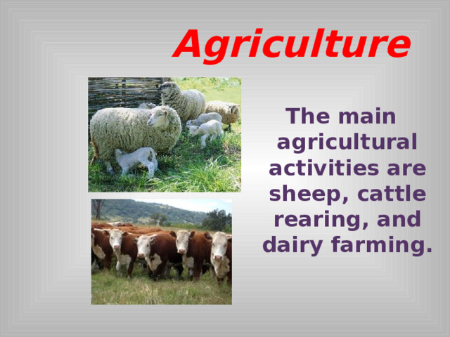  Agriculture   The main agricultural activities are sheep, cattle rearing, and dairy farming.  