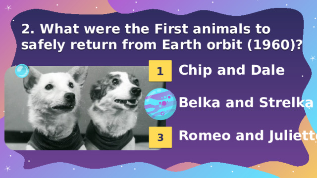 2. What were the First animals to safely return from Earth orbit (1960)? 1 Chip and Dale  Belka and Strelka  Romeo and Juliette 2 3 