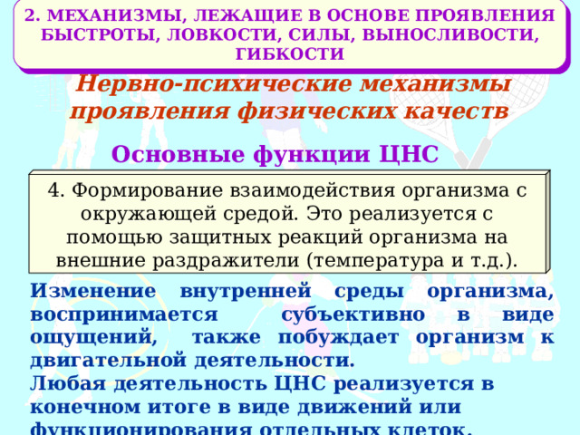 2. МЕХАНИЗМЫ, ЛЕЖАЩИЕ В ОСНОВЕ ПРОЯВЛЕНИЯ БЫСТРОТЫ, ЛОВКОСТИ, СИЛЫ, ВЫНОСЛИВОСТИ, ГИБКОСТИ Нервно-психические механизмы проявления физических качеств Основные функции ЦНС 4. Формирование взаимодействия организма с окружающей средой. Это реализуется с помощью защитных реакций организма на внешние раздражители (температура и т.д.). Изменение внутренней среды организма, воспринимается субъективно в виде ощущений, также побуждает организм к двигательной деятельности. Любая деятельность ЦНС реализуется в конечном итоге в виде движений или функционирования отдельных клеток. 