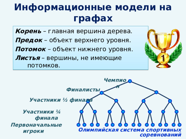 Информационные модели на графах Корень – главная вершина дерева. Предок – объект верхнего уровня. Потомок – объект нижнего уровня. Листья – вершины, не имеющие потомков. Чемпион Финалисты Участники ½ финала Участники ¼ финала Первоначальные игроки Олимпийская система спортивных соревнований 