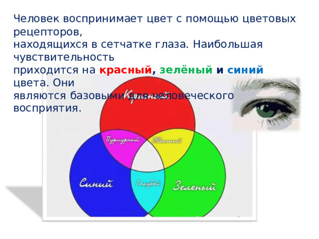 Человек воспринимает цвет  с  помощью  цветовых рецепторов, находящихся  в сетчатке глаза. Наибольшая чувствительность приходится на красный ,  зелёный  и синий цвета. Они являются  базовыми для человеческого  восприятия. 