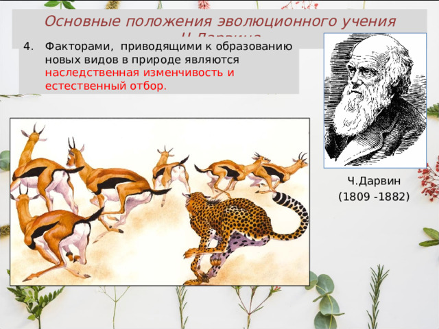 Основные положения эволюционного учения Ч.Дарвина Факторами, приводящими к образованию новых видов в природе являются наследственная изменчивость и естественный отбор. Ч.Дарвин (1809 -1882) 