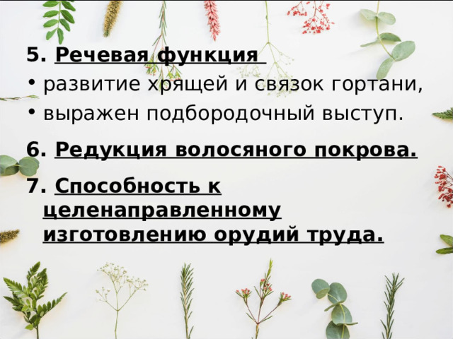 5. Речевая функция развитие хрящей и связок гортани, выражен подбородочный выступ. 6. Редукция волосяного покрова.  7. Способность к целенаправленному изготовлению орудий труда.  