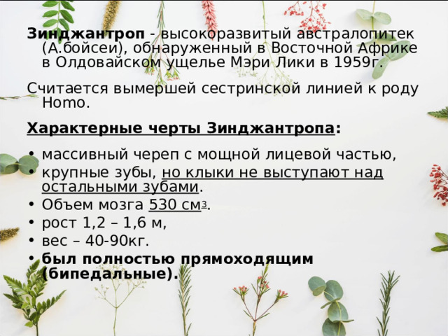 ЭВОЛЮЦИЯ ЧЕЛОВЕКА Стадиальная гипотез 0. Предлюди – Австралопитеки I. Древнейшие люди (Архантропы) . II. Древние люди (Палеоантропы) . III . Современные люди (Неоантропы) . 