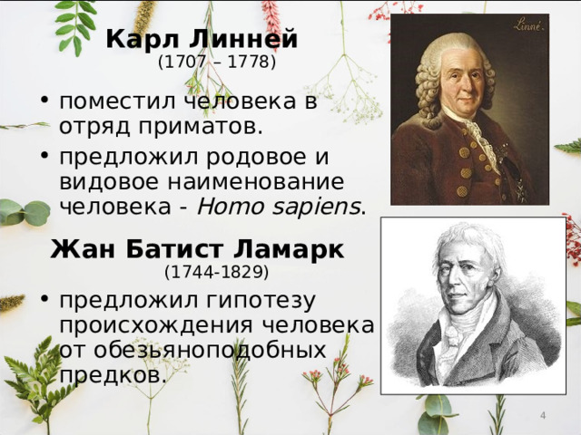 Карл Линней  (1707 – 1778) поместил человека в отряд приматов. предложил родовое и видовое наименование человека - Homo sapiens .   Жан Батист Ламарк  (1744-1829) предложил гипотезу происхождения человека от обезьяноподобных предков.  2 