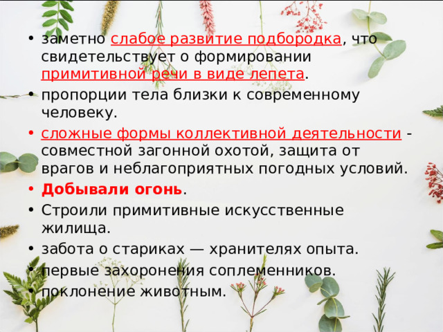 жили одновременно с австралопитеками, Рост 100 - 150см, вес 30-50 кг. Объем мозга от 650 до 800 см 3 . более развиты лобная, теменные и височные доли . Уменьшены зубы, Кисть более приспособлена к трудовой деятельности , за счет противопостановления большого пальца, Отмечается лучшее приспособленность к прямохождению (бипедии). 