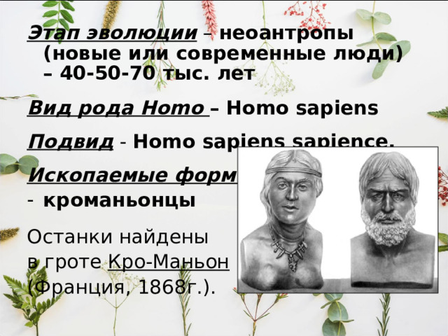 Надглазничные валики , Выступающие вперед челюсти, Наличие центра речи, но гортань еще не была развита, Челюсти менее массивны, у самок более широкий таз, что позволило рожать детенышей с большей по размерам головой .  Особо резких анатомических различий с австралопитеками не обнаружено . 