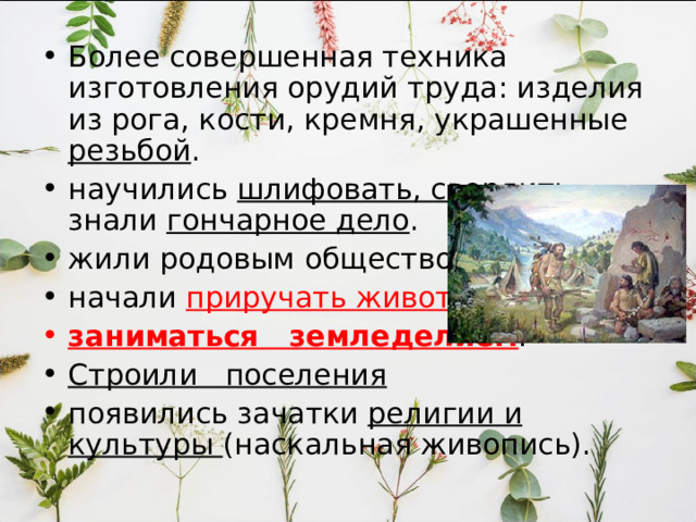 Характерные черты: Объем мозга от 700 до 1300см 3 , низкий череп , выраженные надбровные дуги , массивные челюсти. Появляется примитивная речь в виде отдельных выкриков . Поддерживали огонь . Орудия труда более разнообразны , лучше обработаны (каменные рубила, колуны, копья). Жили «первобытным человеческим стадом» , Простые формы коллективной деятельности – совместная охота, собирательство. Люди Homo: хабилис и эректус 