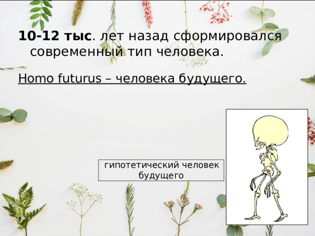 Характерные черты Объем головного мозга  1400-1700см 3 , сильно развиты области, связанные с логическим мышлением и речью. череп более высокий, Лоб покатый, сплошной надглазничный валик (менее – у ранних неандертальцев) 