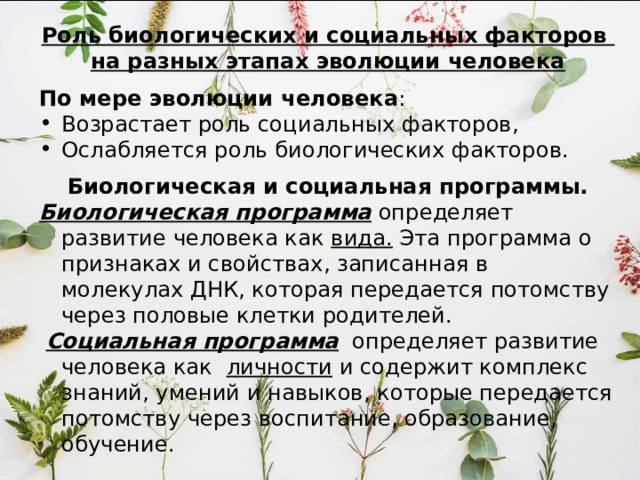 Этап эволюции – неоантропы (новые или современные люди) – 40-50-70 тыс. лет Вид рода Homo  – Homo sapiens  Подвид - Homo sapiens sapience.  Ископаемые формы  кроманьонцы Останки найдены в гроте Кро-Маньон  (Франция, 1868г.). 