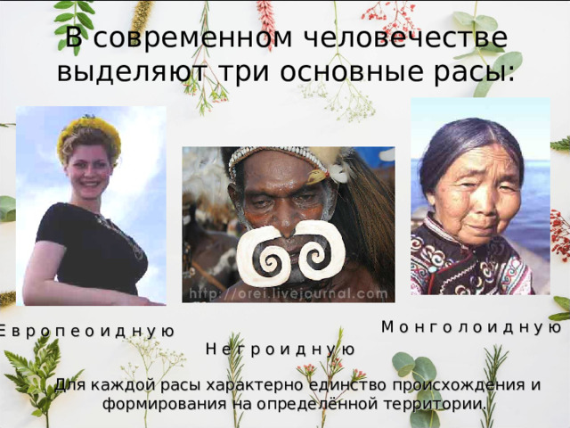 http://www.biospsma.spb.ru/SZGMU_SITE/TL_Abstracts_of_lectures/Human_evolution.html 