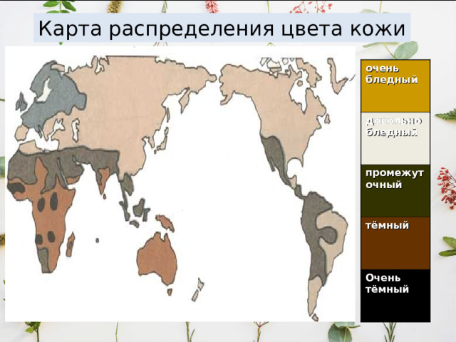          ЧЕЛОВЕЧЕСКИЕ РАСЫ,  ИХ ПРОИСХОЖДЕНИЕ  И ЕДИНСТВО.        