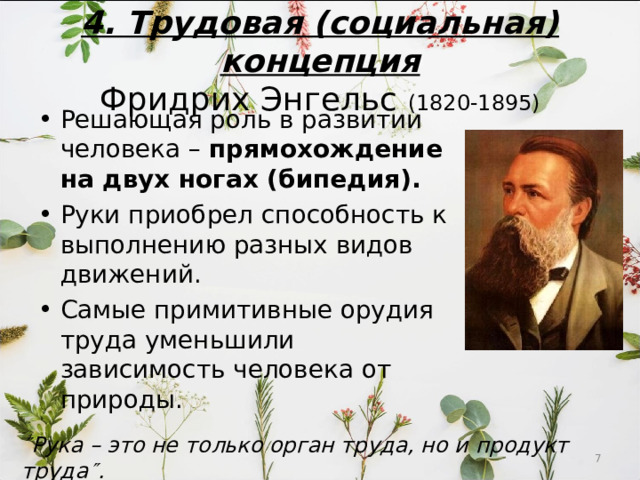 4. Трудовая (социальная) концепция  Фридрих Энгельс (1820-1895)  Решающая роль в развитии человека – прямохождение на двух ногах (бипедия). Руки приобрел способность к выполнению разных видов движений. Самые примитивные орудия труда уменьшили зависимость человека от природы.  Рука – это не только орган труда, но и продукт труда  .  