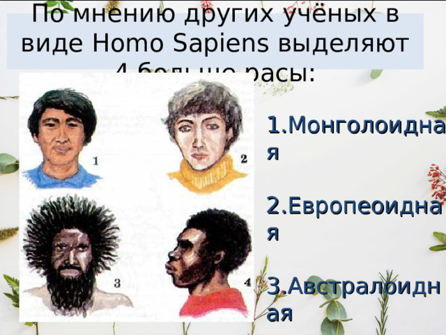 Монголоидная раса  Характерные признаки : Черные, прямые, тугие волосы; кожа смуглая желтоватых оттенков; Глаза темно-карие; косой разрез глаз; Лицо плоское, скулы широкие, на лице борода и усы как правило отсутствуют; Нос прямой с низким переносьем;  Губы развиты средне; На теле волосяной покров развит слабо; Рост у большинства средний и ниже среднего; 