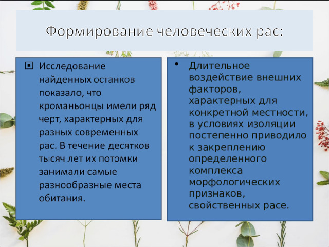  Монголоидная раса самая многочисленная раса.  Люди, принадлежащие к этой расе, очень отличаются друг от друга.  Даже ученым пришлось разделять эту расу на подрасы:  -сибирские монголоиды,  -северокитайские монголоиды,  -южнокитайские монголоиды,  -малайские монголоиды,  -тибетские монголоиды. 