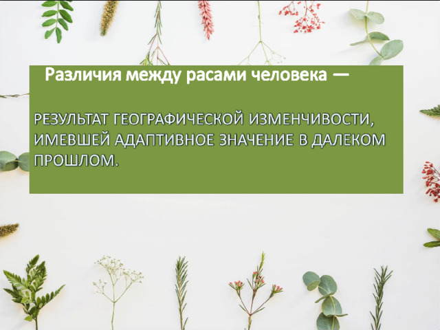 Европеоидная раса  Характерные признаки Светлая окраска кожи; Волнистые или прямые волосы; Губы средней толщины; Небольшая ширина лица;  Нос довольно узкий с высоким переносьем; Средне или сильно выступающий подбородок ; Развитие волос на теле и лице среднее или сильное; 