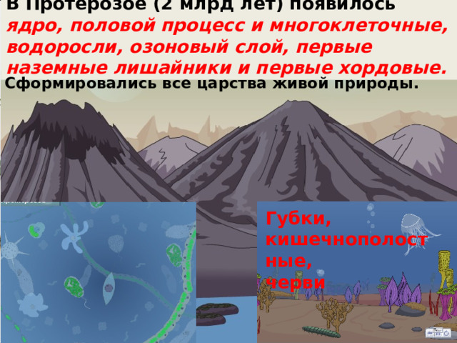 Архей (1 млрд лет): атмосфера не содержала кислорода; возникло все разнообразие прокариот, в том числе фотосинтезирующих. 