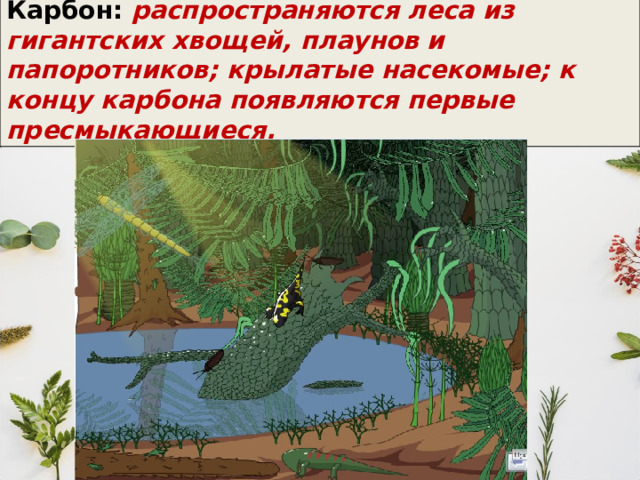 Девон: на смену панцирным рыбам приходят древние хрящевые – акулы и скаты, появляются первые костные рыбы; в мелких водоемах – кистеперые рыбы; к концу Девона – стегоцефалы – первые земноводные, многоножки, древовидные папоротники. 