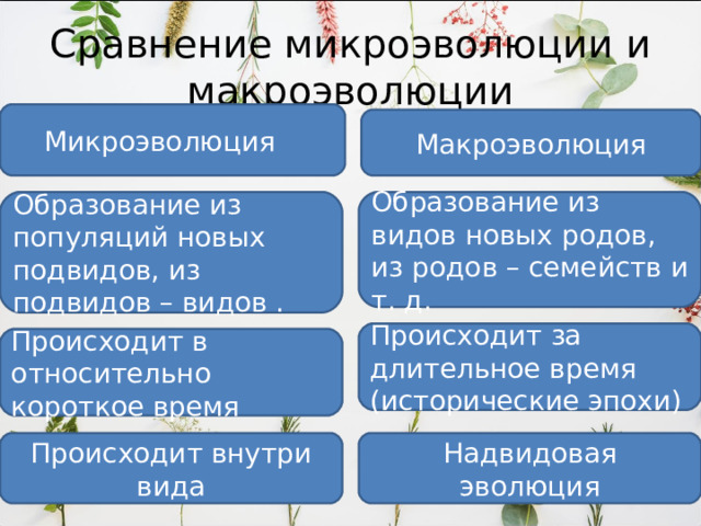 Сравнение микроэволюции и макроэволюции  Микроэволюция Макроэволюция Образование из популяций новых подвидов, из подвидов – видов . Образование из видов новых родов, из родов – семейств и т. д. Происходит за длительное время (исторические эпохи) Происходит в относительно короткое время Происходит внутри вида Надвидовая эволюция 