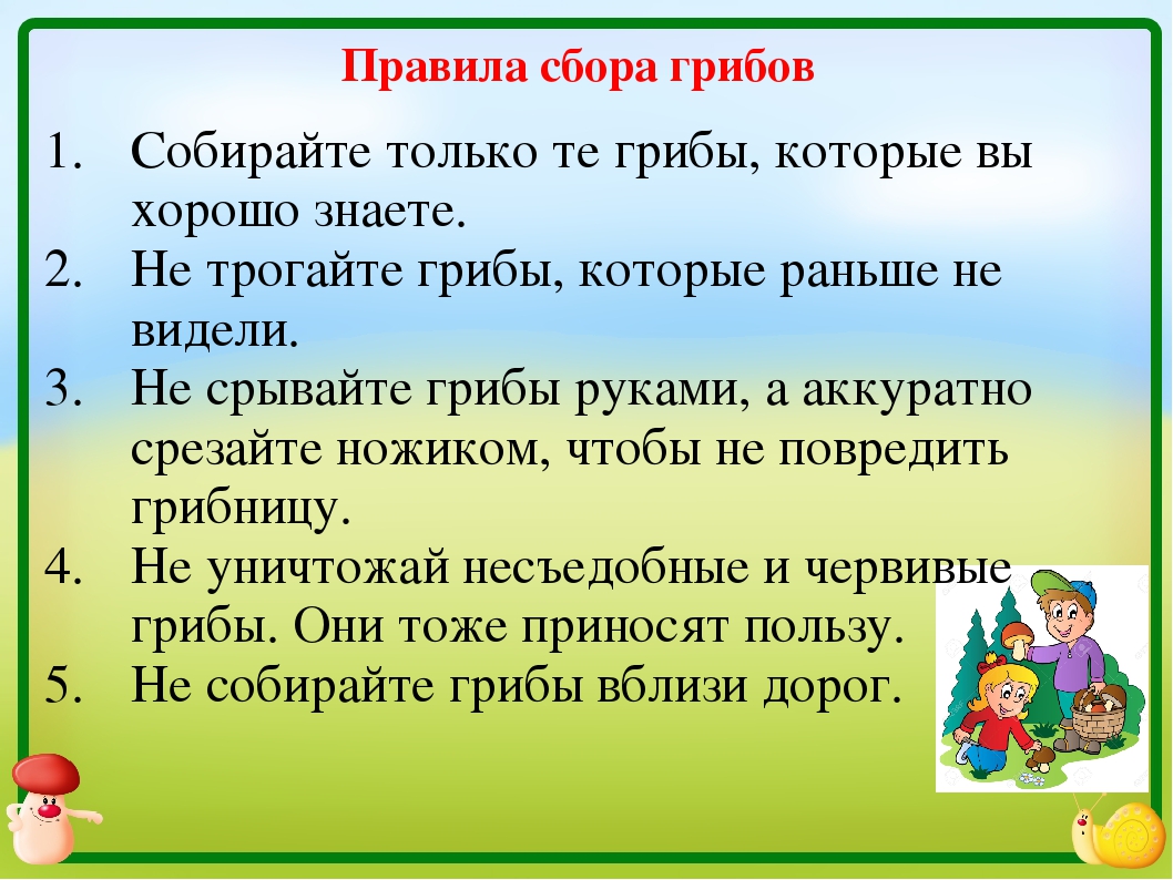 Конспект урока по окружающему миру по теме 