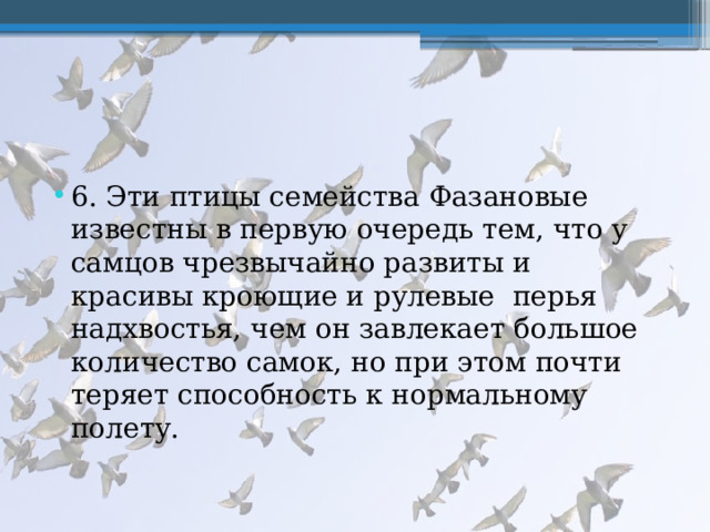 6. Эти птицы семейства Фазановые известны в первую очередь тем, что у самцов чрезвычайно развиты и красивы кроющие и рулевые перья надхвостья, чем он завлекает большое количество самок, но при этом почти теряет способность к нормальному полету. 