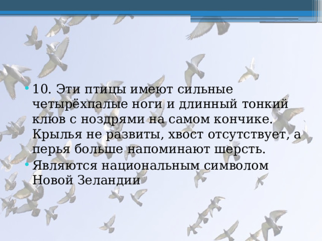 10. Эти птицы имеют сильные четырёхпалые ноги и длинный тонкий клюв с ноздрями на самом кончике. Крылья не развиты, хвост отсутствует, а перья больше напоминают шерсть. Являются национальным символом Новой Зеландии 